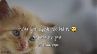 Kontawa _ Nataka niwape story ( lyrics video)