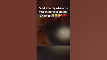 full video on our channel!! #phasmophobia #funnymoments #phasmophobiagame #youtubeshorts #funnyclips