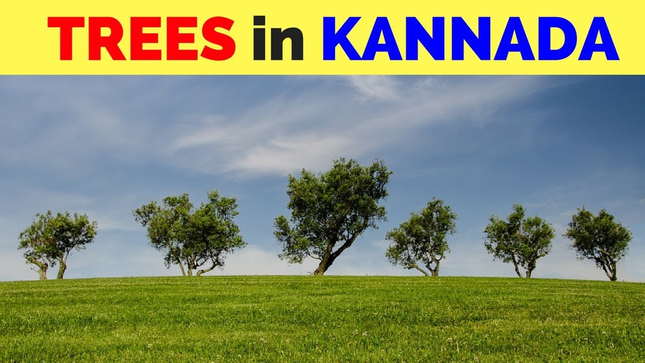 essay in kannada about tree