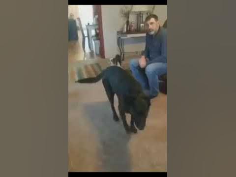 When your daddy voted for biden and the end