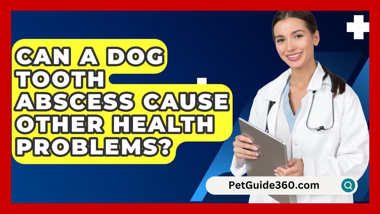 Can A Dog Tooth Abscess Cause Other Health Problems? - PetGuide360.com
