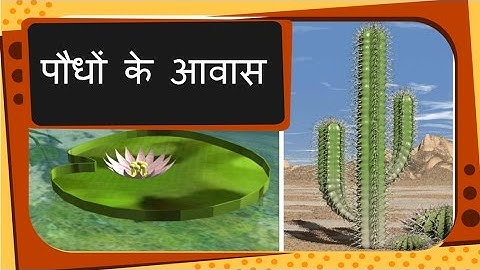 Science - Plant Habitat and adaptation - Hindi