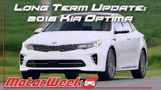 Long Term Update: 2016 Kia Optima - Cozy Cruiser