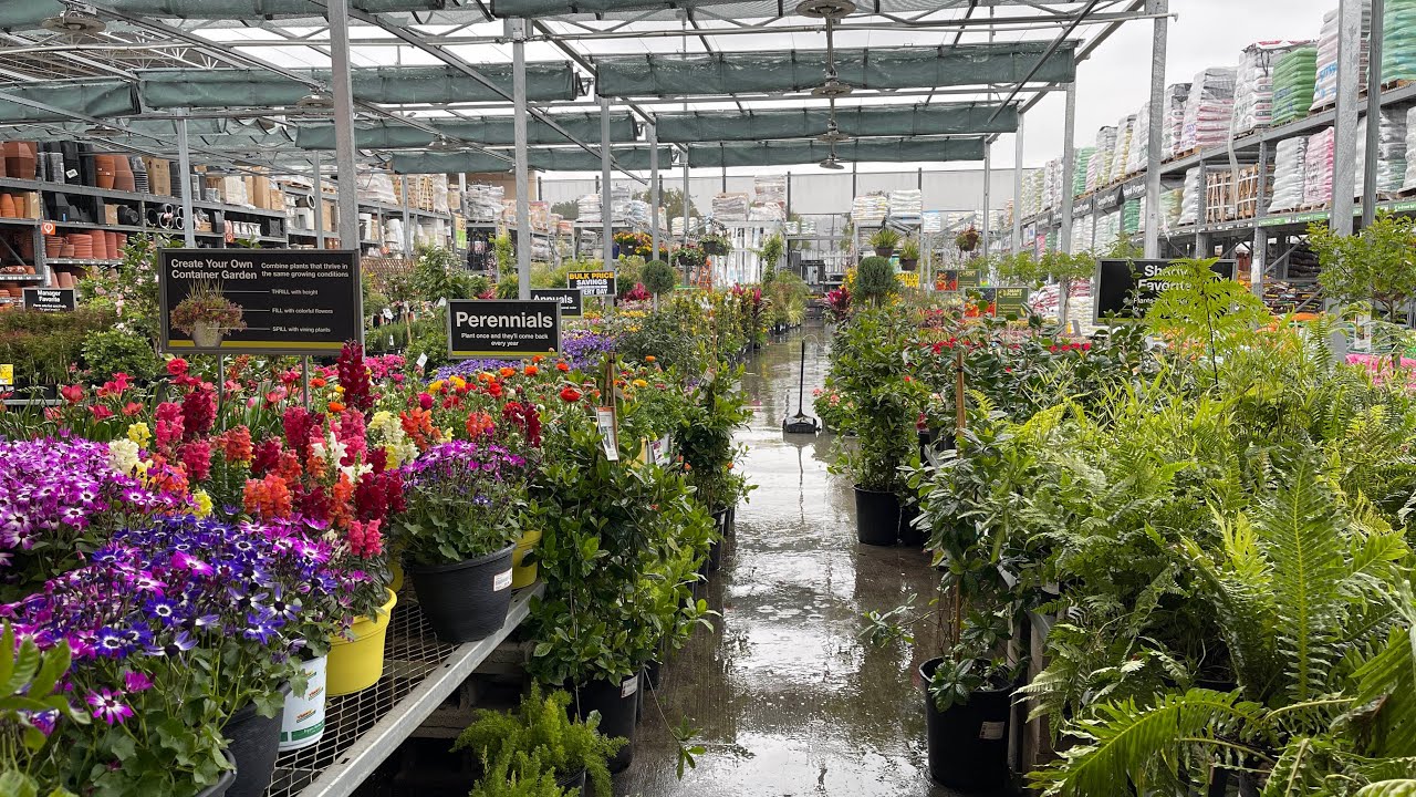 live-at-home-depot-on-a-sunday-morning-looking-through-the-garden