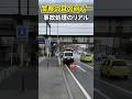交通事故処理中🚨