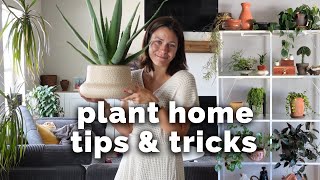 Elevate your plant home with these 7 display tips
All of the plant & potting supplies I use - https://www.amazon.com/shop/harlig/list/1944ZN2BM0RSF?ref aipsflist_aipsfharlig Elevate your plant home with these 7 display tips