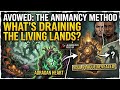 Avowed The Animancy Method Quest: What Is Draining The Living Lands?