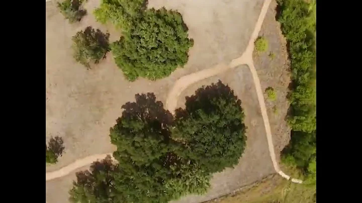 FPV DJI Throttle Stick Error, Flew It Anyways, Fail or Success?