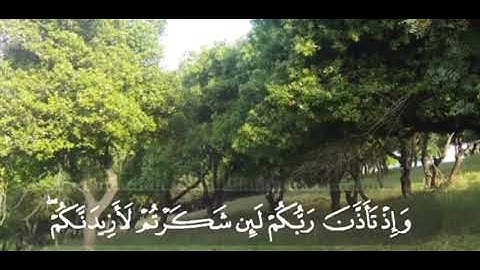 {وإذ تأذن ربكم لئن شكرتم لأزيدنكم} #سورة_إبراهيم محمد اللحيدان #تلاوة_خاشعة #قرآن #تلاوات #آيات