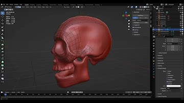 Skull Retopology Cranium