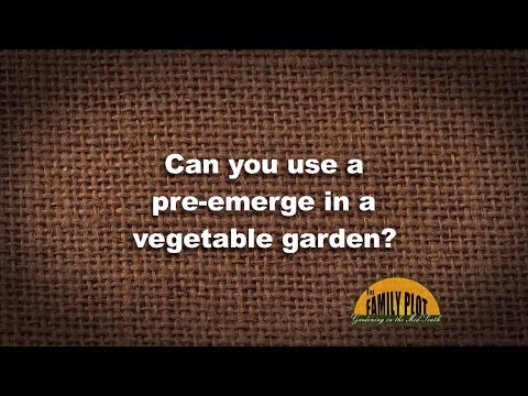 Video: Dá sa predperenie používať v zeleninových záhradách?