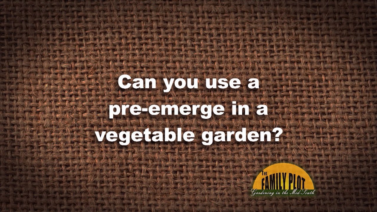 Q A Can You Use A Pre Emerge In A Vegetable Garden Youtube