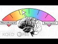 Understanding Autism: Disorder or Difference?