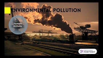 Biophoto cells and algae: green energy