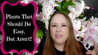Houseplants That Should Be Easy, But Aren't + Bloopers!!
