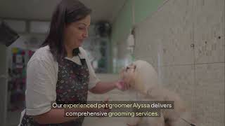 General Grooming Services | Allen | 972 649 6777