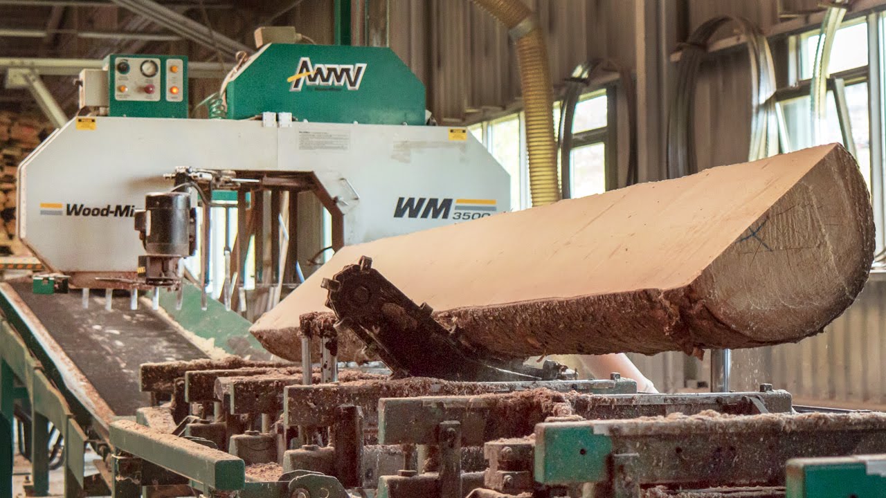 WoodMizer WM3500 sawmill at work in the Czech Republic YouTube