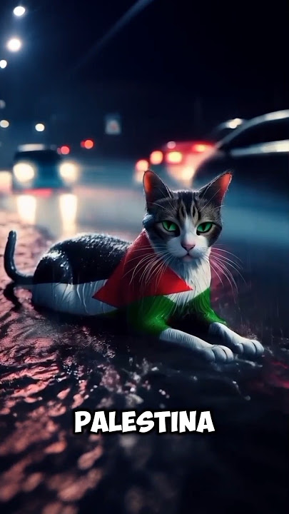 KASIHAN KUCING INI KEDINGINAN #shortvideo #funny