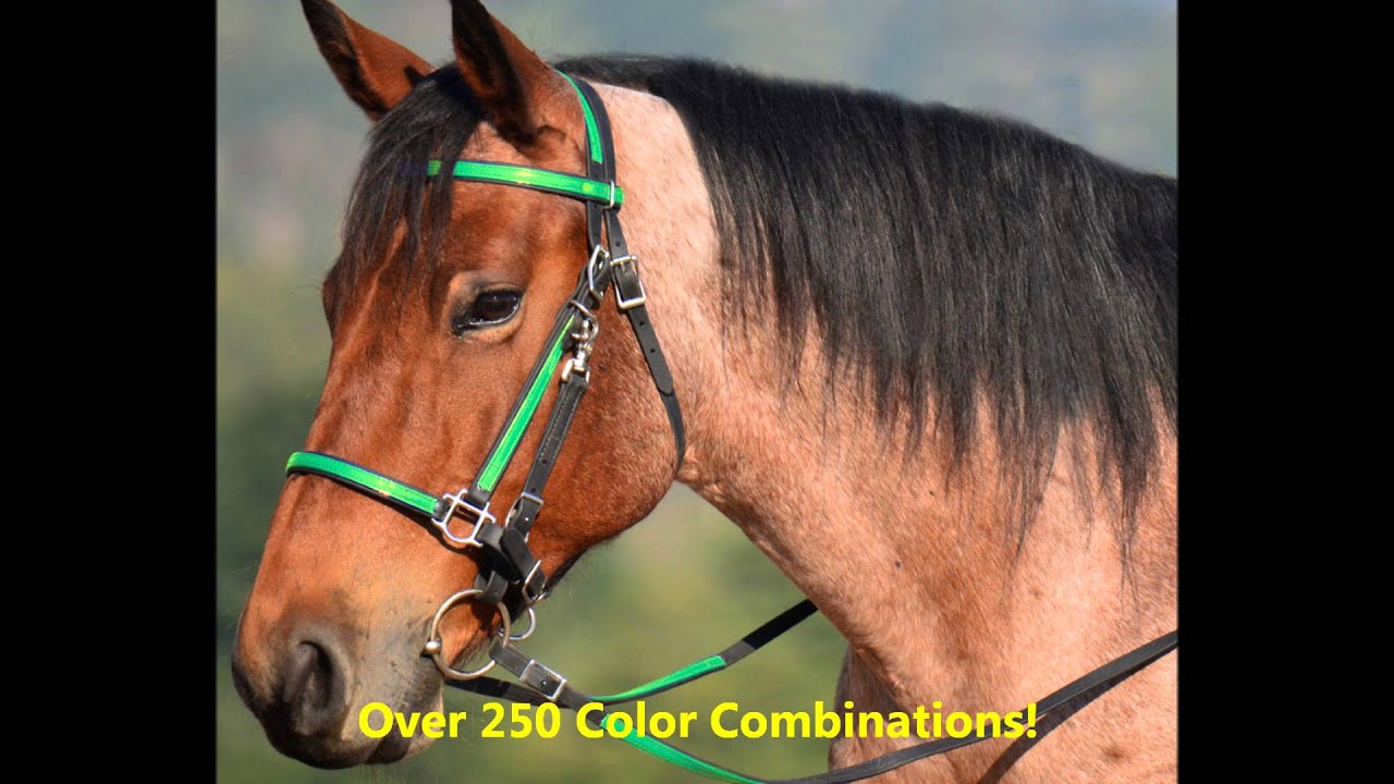 Two Horse Tack FREE Tack Giveaway March 1st 15th Any 2 Color Combo