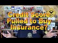 Insurability Based on Your Credit Score? Ep. 7.313