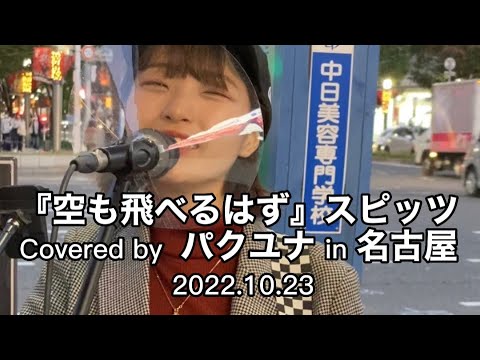 【空も飛べるはず/スピッツ】Covered by パクユナ in 名古屋