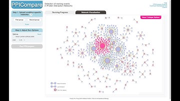 Network Visualization in PPICompare Webserver