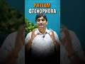 Phylum Ctenophora | Animal kingdom | Quick Revision l Part 4 l NKY Sir #neet2026