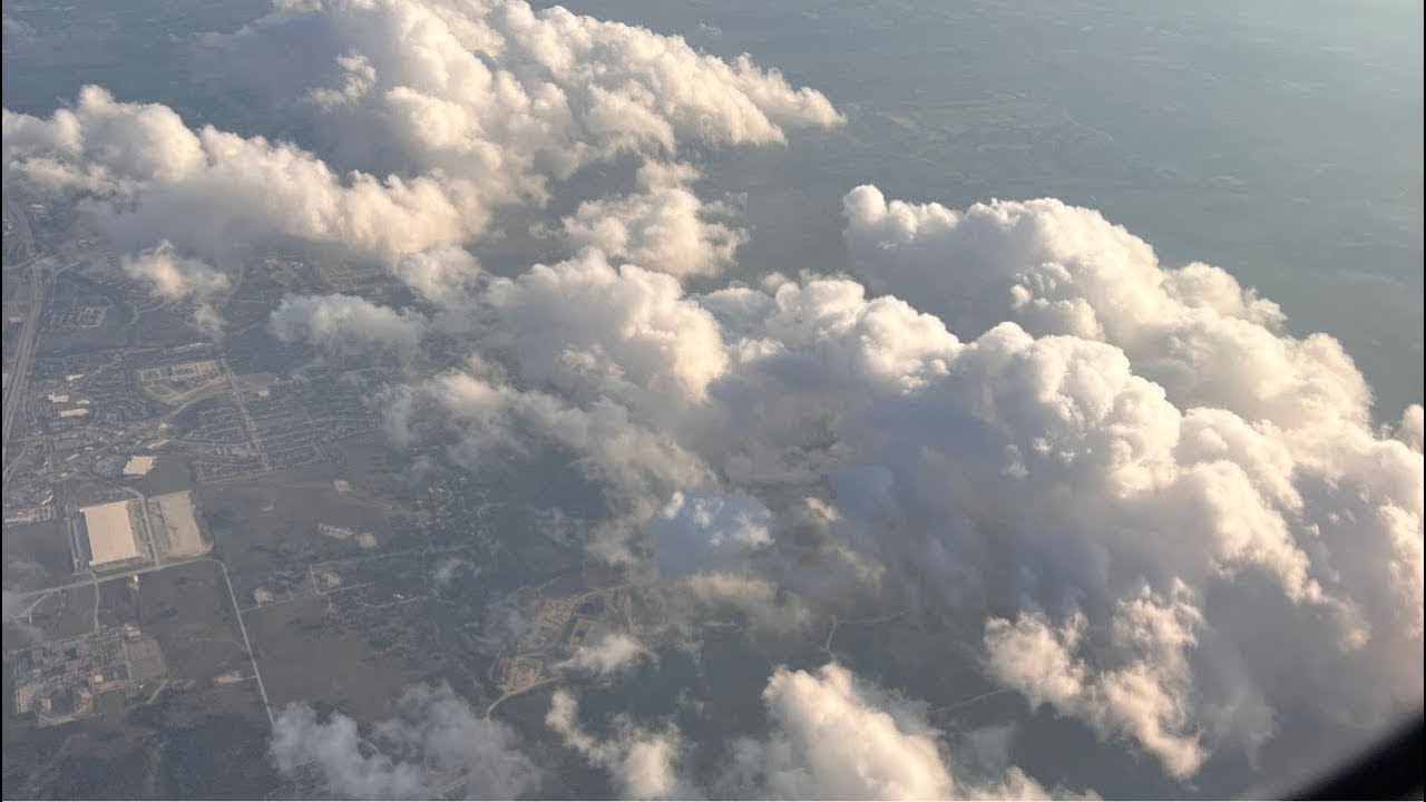 엔피아에게 떼굴떼굴😉