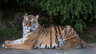 Portland Zoo 2019