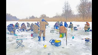 ОЗЕРО КІШИТЬ РИБОЮ!!! Зимова риболовля 2023-2024. Ловля КАРАСЯ