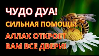 видео: 🤲 Повторите эту молитву и ваш СЫН будет под защитой! Лучшие молитвы, слушать минимум один раз в день картинка: 🤲 Повторите эту молитву и ваш СЫН будет под защитой! Лучшие молитвы, слушать минимум один раз в день