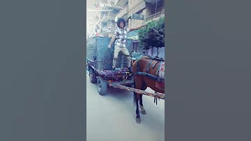 اغنية فيلم كركر 