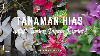 Terbaik Inspirasi Tanaman Hias Untuk Taman Depan Rumah  Koleksi Jenis Bunga Estetik Viral 2026