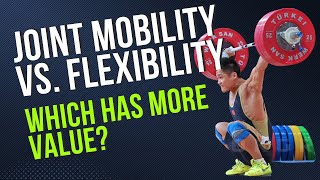 Joint Mobility vs. Flexibility: What’s the Difference