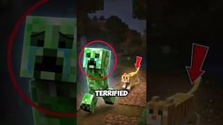 Why Are Creepers TERRIFIED of Cats in Minecraft?! 😱🐱