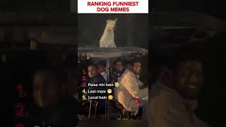 Funniest Dog memes ranking #ranking #comedy #funny #memes