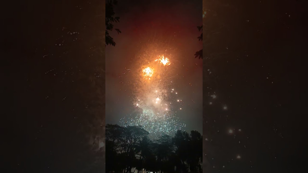 Happy Bính Ngọ 2026 🧨🧨🎆🎆🐎🐎