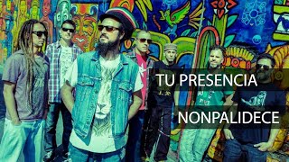Tu presencia (NONPALIDECE) Letra