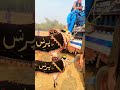 fateh jangi bull 2026 #shorts #shortvideo #youtubeshorts #fatehjangibulls #domail #animals #cow