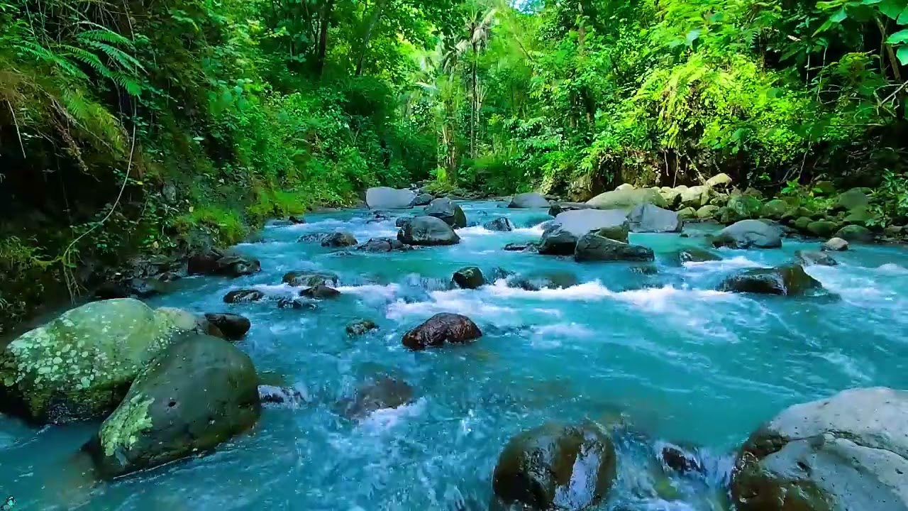 Peaceful Morning River Sounds 🌲💧 Calm Water Sounds for Relax