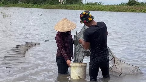 Thăm Lú ( 12 Cửa Ngục) Mùa Nước Nổi - Tây Đô Quê Em - Huỳnh Thuỳ - T307