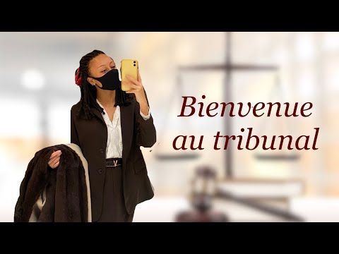 VOICI À QUOI RESSEMBLE UN TRIBUNAL (TJ PARIS) I DROIT