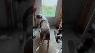 Famous She really had to go Wealth