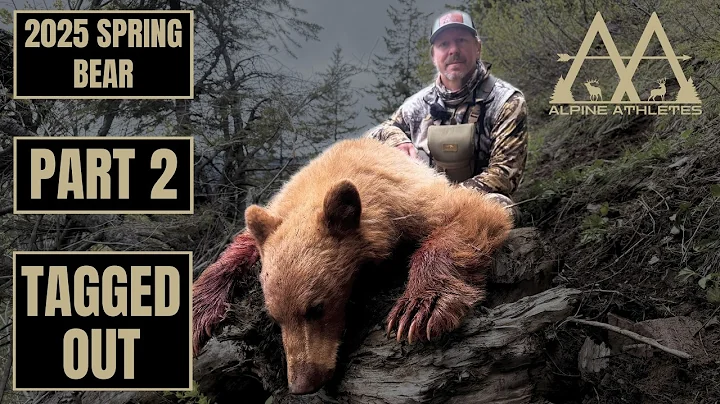 The Quickest Bear Hunt Ever | 2025 Spring Bear Part 2 | MUST SEE FOOTAGE