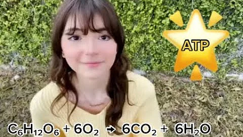 How is chemistry present in our everyday lives? Science Ambassador Scholarship 2023 submission