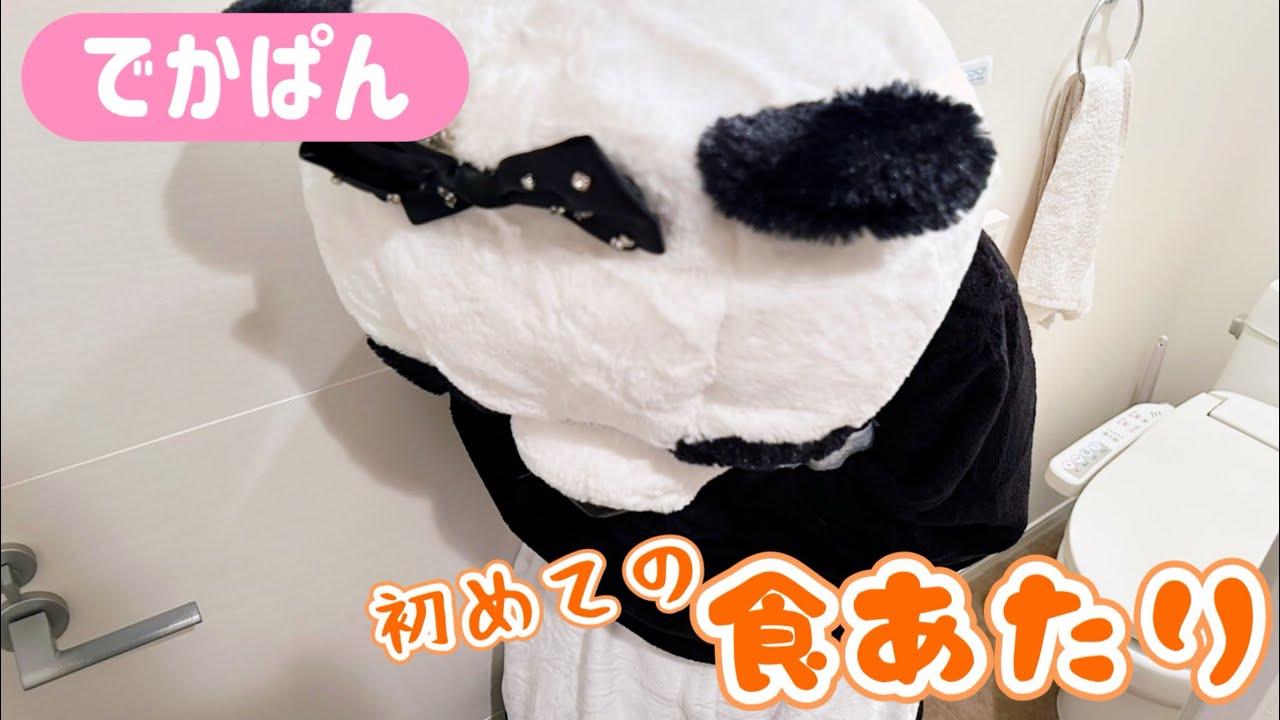 でかぱん、初めての食あたり😭