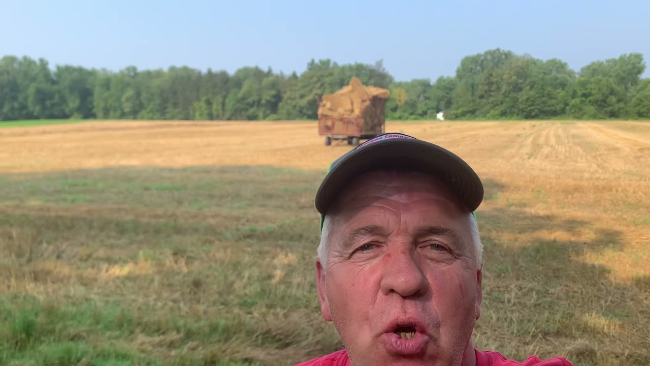 Whats a Long Gourd ? 