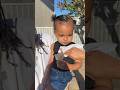 This is hilarious. Was she shy or scared of CripMac ? #viral #comedy #funny #cripmac