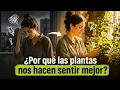 ESTO PASA EN TU MENTE CUANDO ESTAS CERCA DE PLANTAS