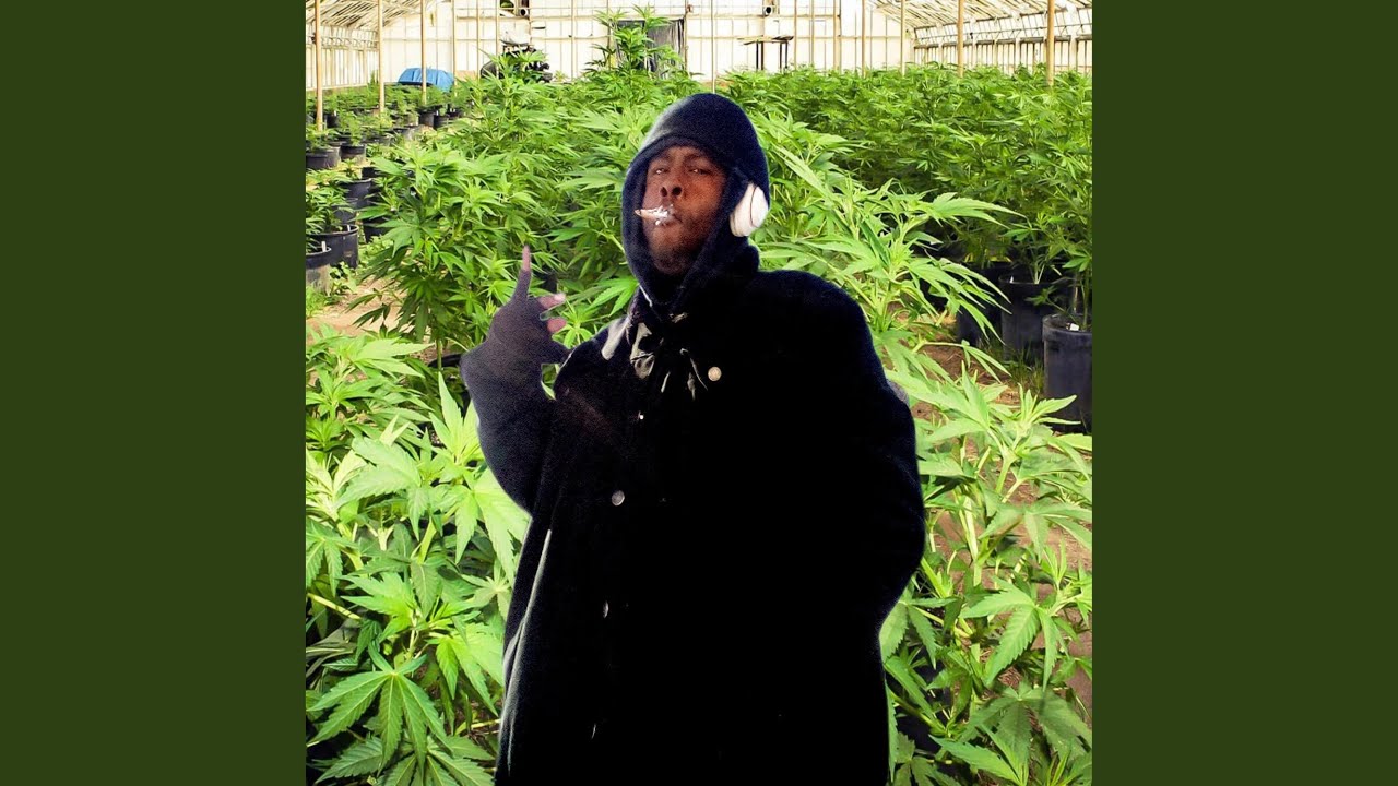 Pablo's revenge (official audio)